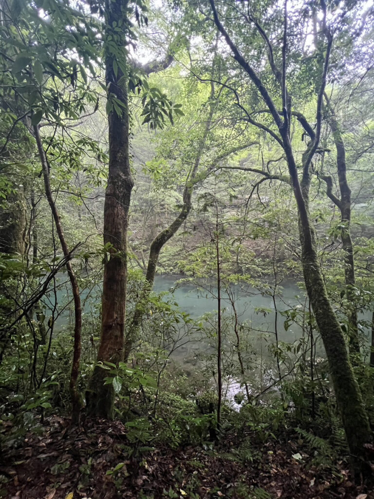 山地の避暑地